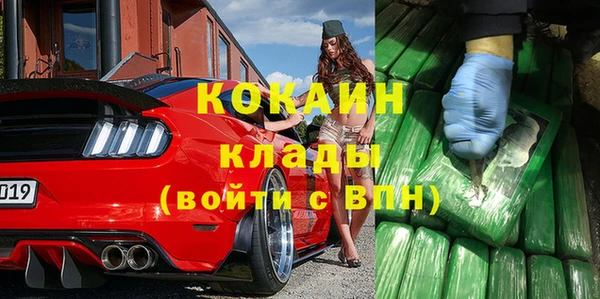 стаф Алзамай