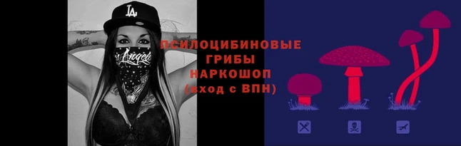 прущие крисы Алексин
