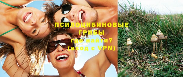 прущие крисы Алексин