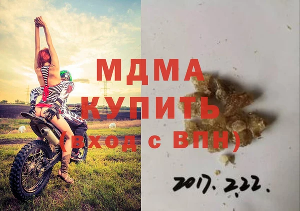стаф Алзамай