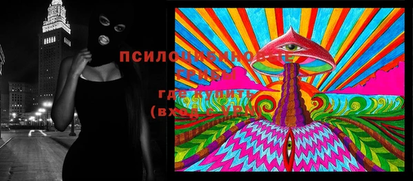 стаф Алзамай