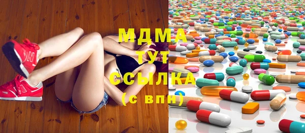 стаф Алзамай