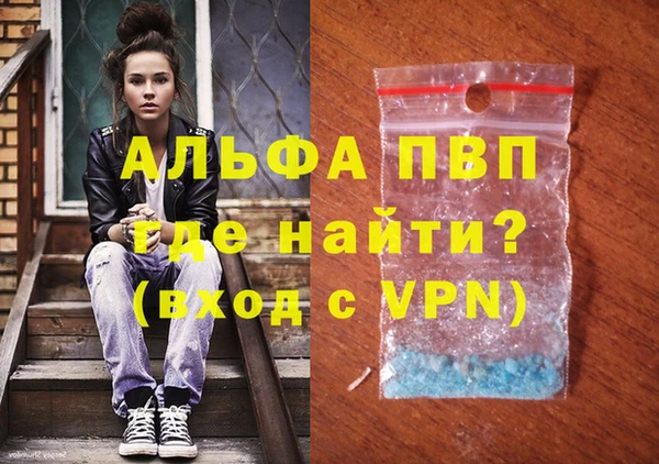 стаф Алзамай