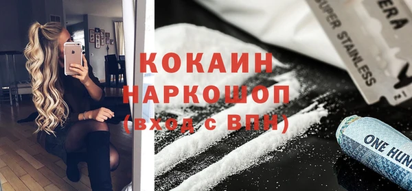 стаф Алзамай